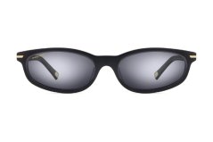 Polar Gold 3039 77/F *