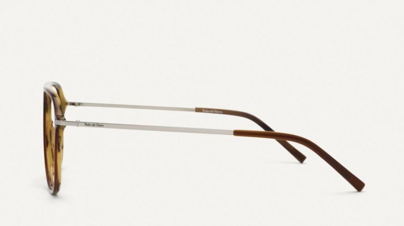 PHG-A0005 EARTH CAREY