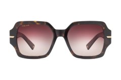 Polar Gold Nemesi 428 *