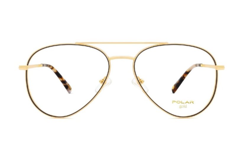 Polar Gold 2008 78