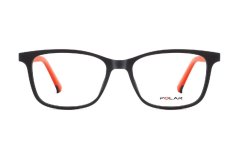 Polar 613 43