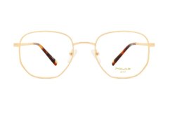 Polar Gold 2005 02