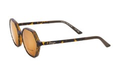 Polar 619 428/R