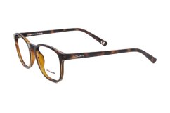 Polar Evie 428
