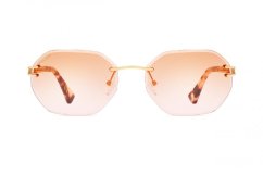 Polar Gold 6002 02/R *