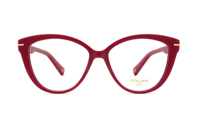 Polar GOLD C 04 22