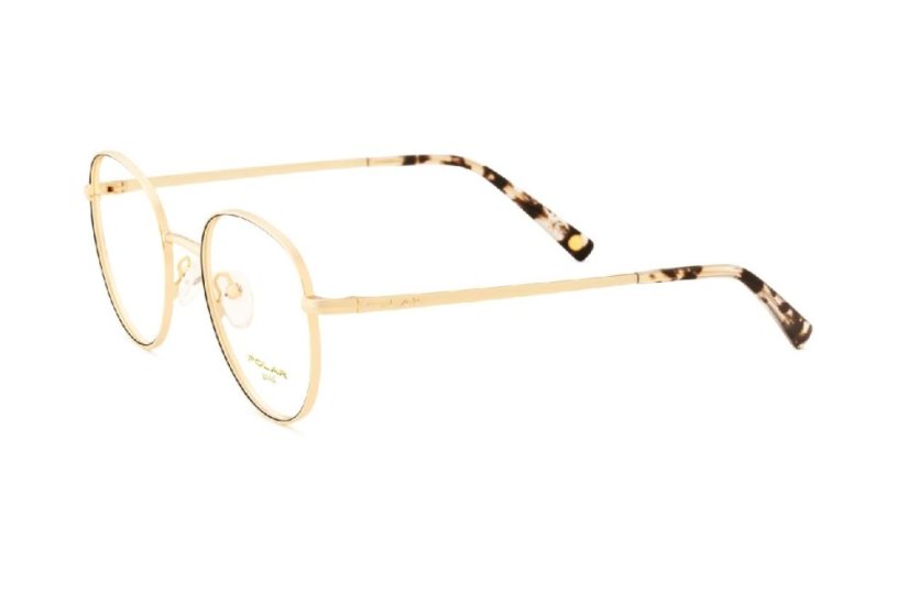 Polar Gold 2004 78