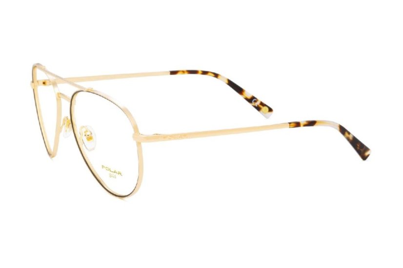 Polar Gold 2008 78