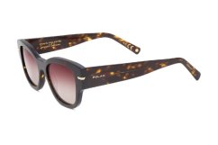 Polar Gold Calypso 429 *