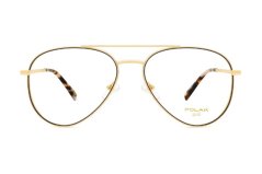 Polar Gold 2008 78
