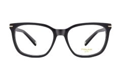 Polar Gold 7029 77/F