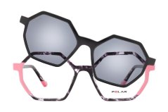 Polar Cassandra 421
