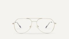 TLG-A0013 TAINU SILVER