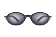 Polar Gold Icaro 77/F *