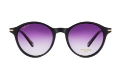 Polar Gold 7020 77/F