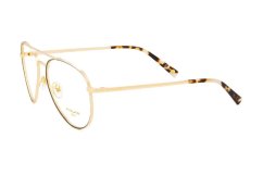 Polar Gold 2008 78