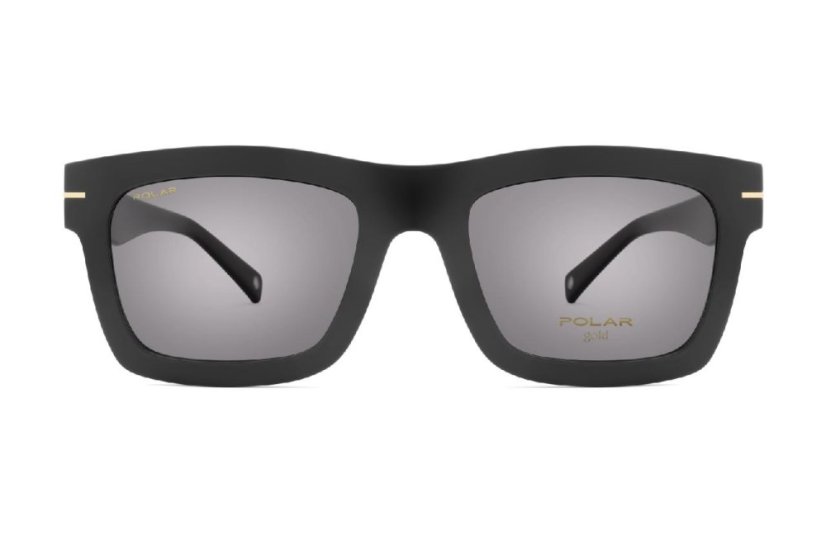 Polar GOLD C 80 77