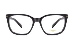 Polar Gold 7029 77/F