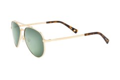 Polar Gold Davidson 02/G *