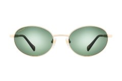 Polar Gold Teseo 02/G *