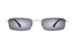 Polar Gold Telete 85 *