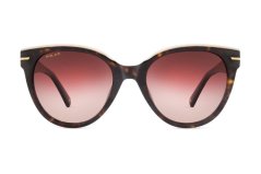 Polar Gold 3025 428 *