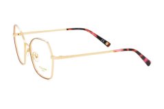 Polar Gold 2009 22