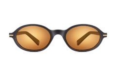 Polar Gold Icaro 77/R *