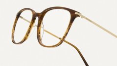 PHG-A0004 SILK CAREY