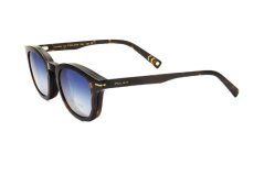 Polar GOLD C 08 428