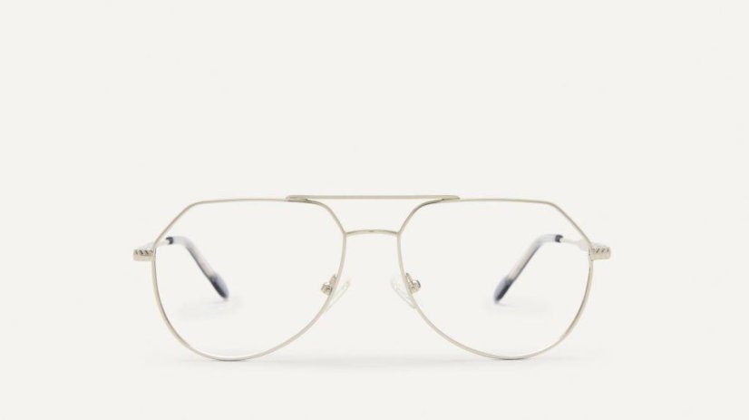 TLG-A0013 TAINU SILVER